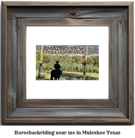 horseback riding near me in Muleshoe, Texas